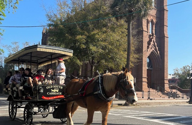 Charming 2-bed 2-bath house in prime Charleston location! Walk to everything!