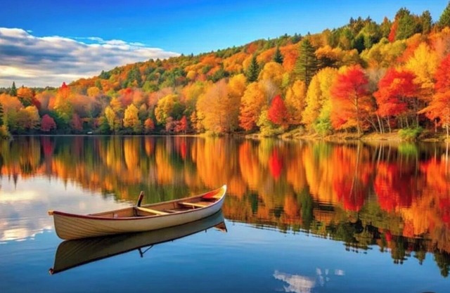 Charming 3 bedroom on Beech Hill Pond close to Ellsworth and Bar Harbor WiFi, AC