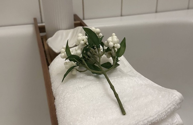 charming affordable simple suite