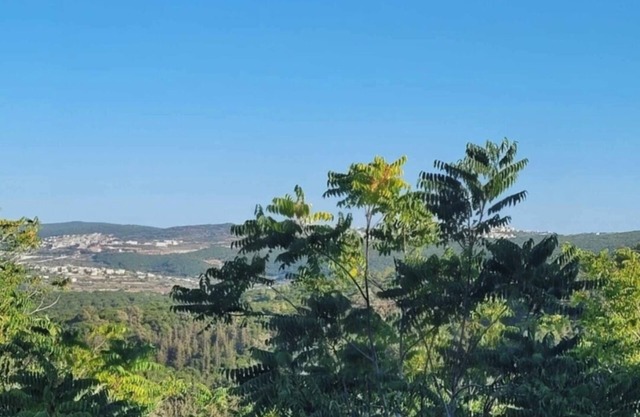 Charming apartment with WiFi, AC in lovely Ma'alot-Tarshiha