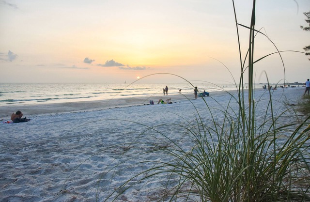 Charming bungalow steps from the beach