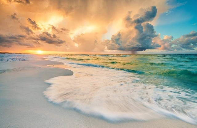 Charming Cottage, downtown to beaches, private