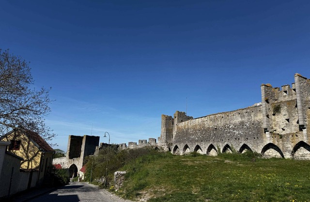 Charming Garden View Apartment: Terrace & grill