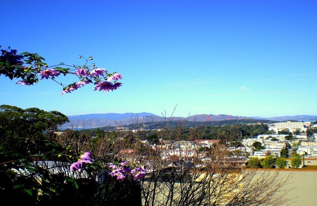 Charming Large Studio With Expansive View