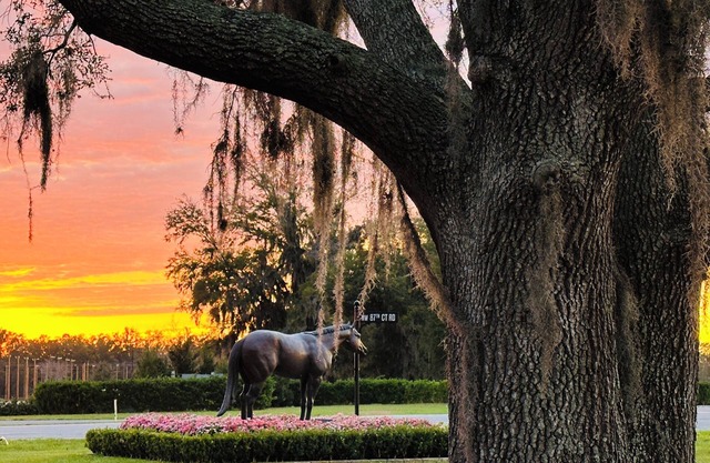 Charming, Pet-Friendly Retreat - 4min to WEC with fenced in yard + camper setup