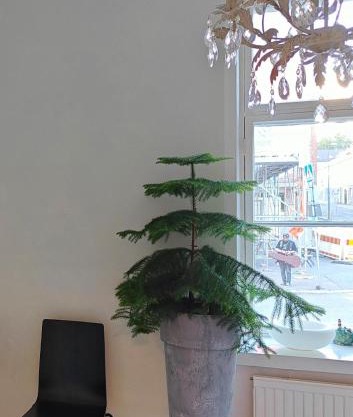 Charming studio in the French Quarter of Tampere