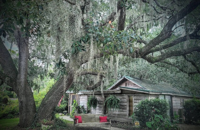 Charming Unique CabinnThe LiTTLe House in the Inlet!
