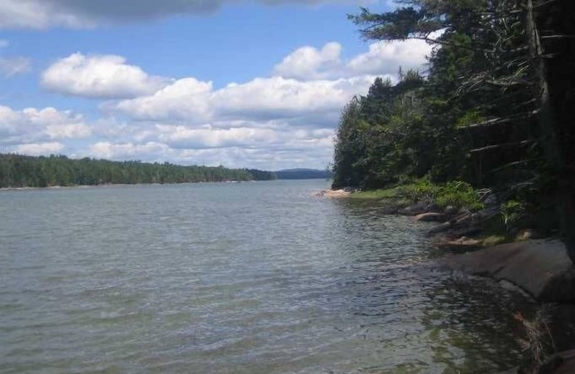 Charming waterfront Cape on 5 acres - Protected habitat - Bikes and Kayaks Incl