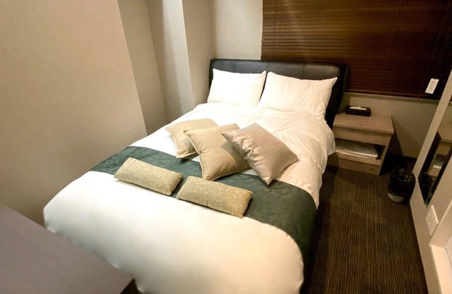Checkin from 2100 to 2300 Great double room p/Chiyoda-ku Tokyo