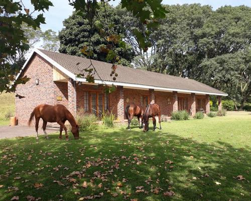 Chillifields Guesthouse