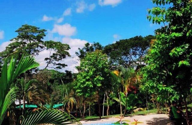 CHOCLINO ECOLODGE BUNGALOWS