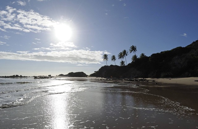Chocolate with Pepper Building