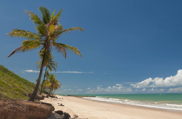 Chocolate with Pepper Building