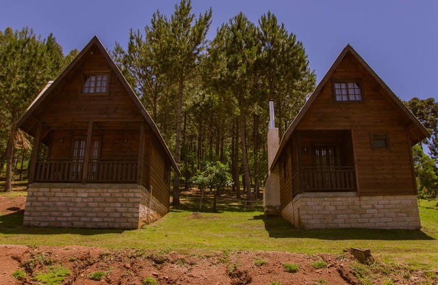 Cinnamon, Rio Grande do Sul Lion Huts of the Judah Tribe.