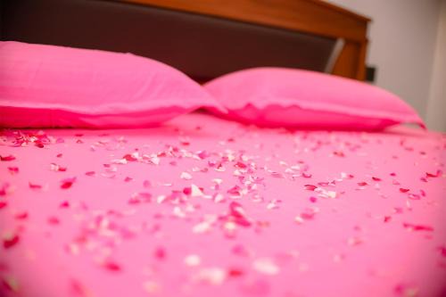 Cinnamon View Villa Galle