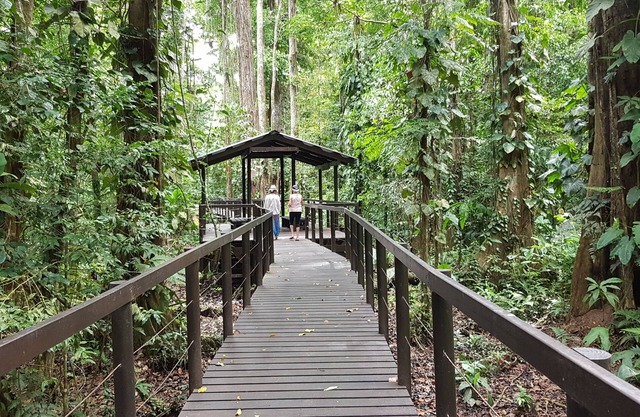 Ciudad Pérdida Ecolodge