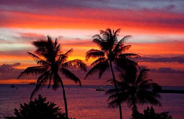 Clean/Chic/Secure Studio, FREE PRIVATE PARKING, LAUNDRY,WIFI, POOL