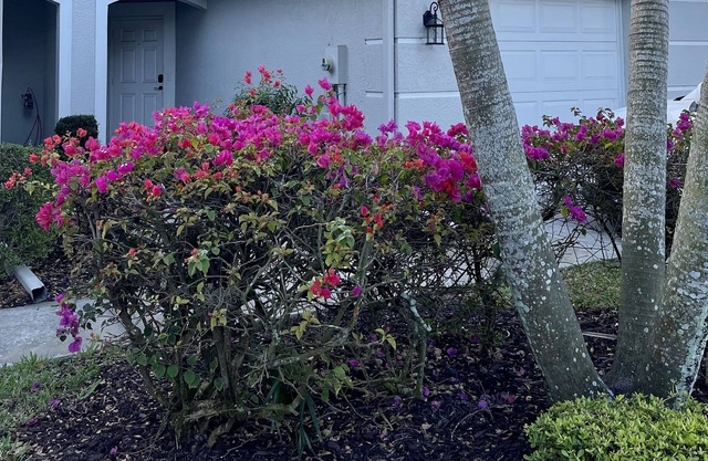 Clean, Quiet, Close to beach, Heated pool & covered Lanai with attached garage