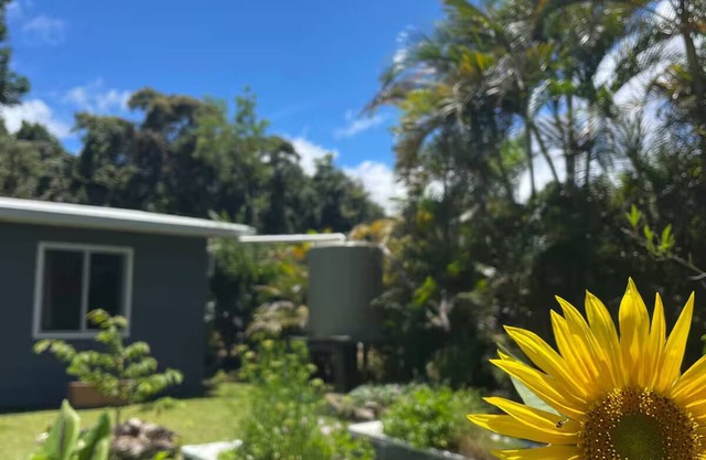 Cloud Cottage Eungella - Family friendly in beautiful rainforest mountain town!