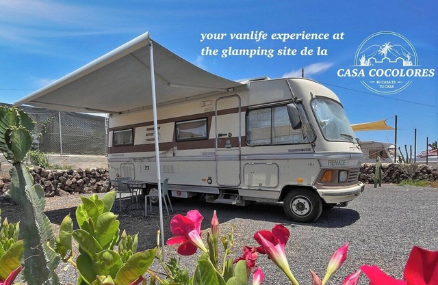 Co-Living at Casa Cocolores