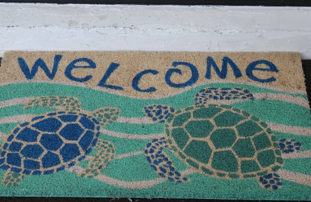 Come Enjoy Sea-renity @ Hernando Beach!