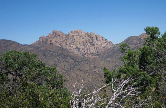 COME LIVE THE DREAM!