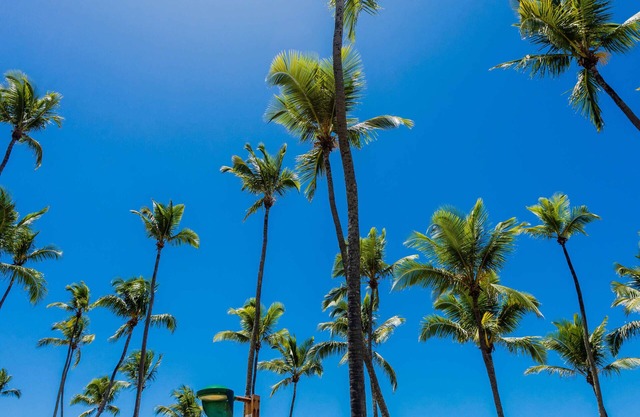 Comfort in front of the Sea, standing in the sand.