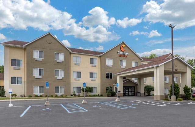 Comfort Suites Auburn near I-69