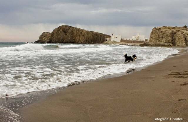 Comfortable apartment in La Isleta del Moro