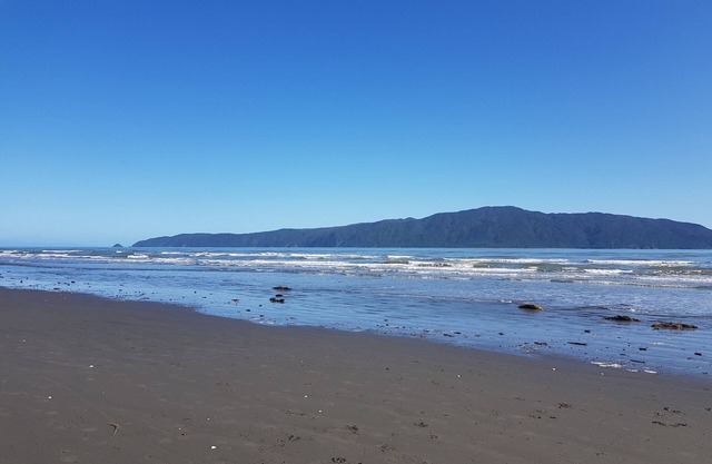 Comfortable beach house 200 meters from Paraparaumu beach
