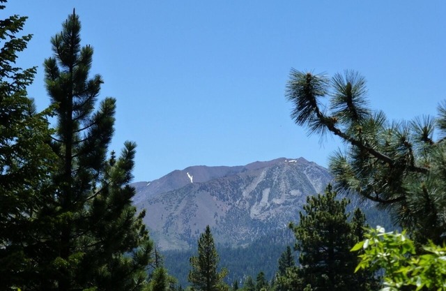 Comfortable One Bedroom Condo with Awesome View at Mammoth
