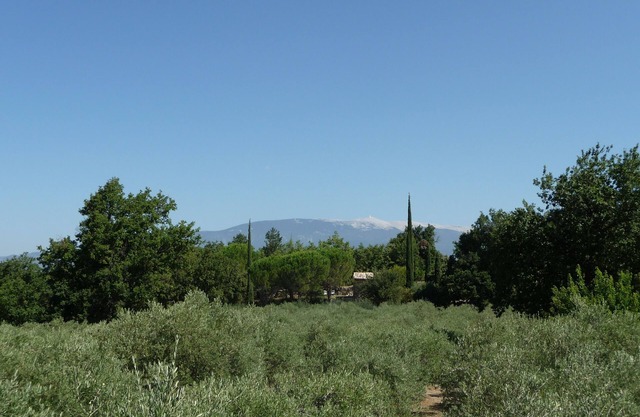 Comfortable small stone 18th Century cabin, private pool, exceptional site