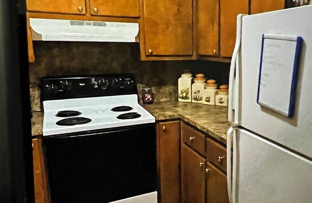 Comfy 2 bedroom w 1 bath near LSU. 5 minutes to downtown. Pet friendly.