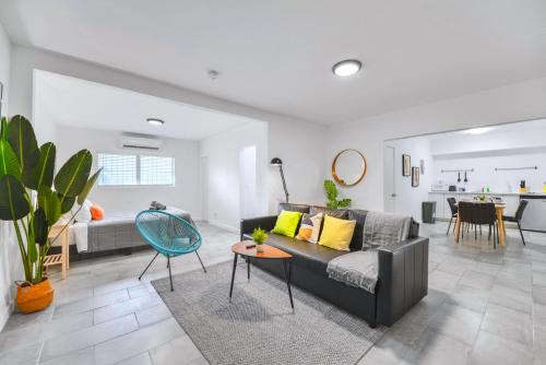 Comfy and Highlight Studio to Know Miami