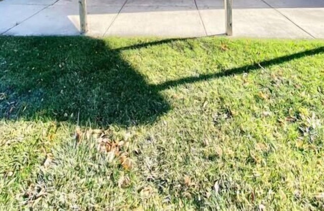 Comfy Pocatello home-central to park and grocery.