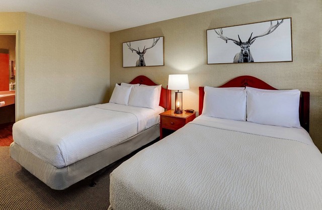 Comfy Stay! Explore Historic Galena with Family and Pet