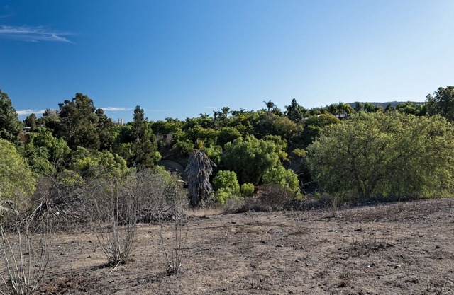 Completely Remodeled, No Detail Left Untouched, Perfect For Large Groups!