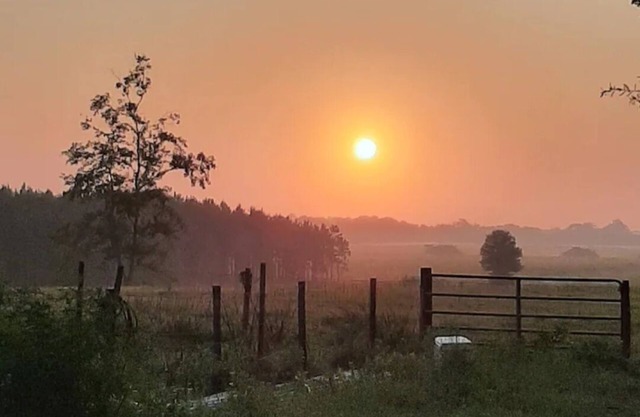 Connect with Nature at this Peaceful home near by multiple springs and trails .