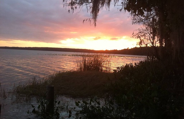 Convene With Nature With First Class Amenities! Create Memories! - Free Bike Use