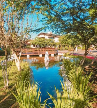 COP 30 Alto de Pinheiros