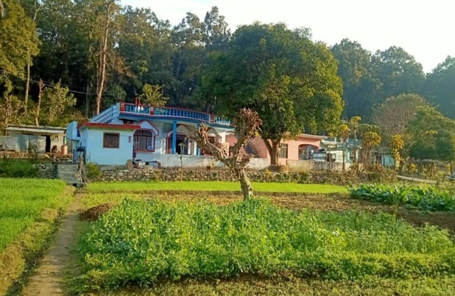 Corbett Green Hills Home Stay inside corbett tiger reserve forest