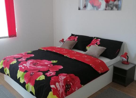 Cosy apartment ROAD A6