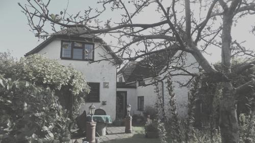 Cosy Cottage in Verwood, Dorset