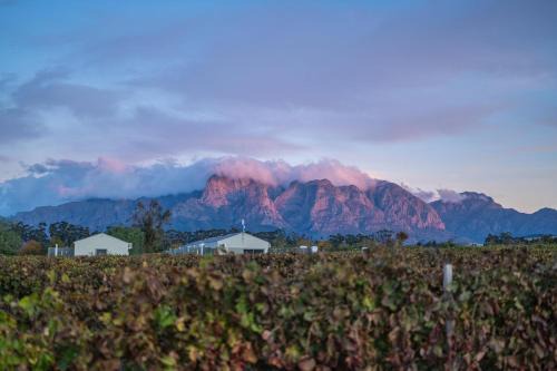 Cottage 5 - Leo Sky Farm