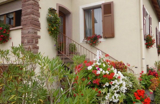 Cottage in a large house in the center of Colmar with garden and free parking