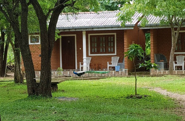 Cottage In Habarana