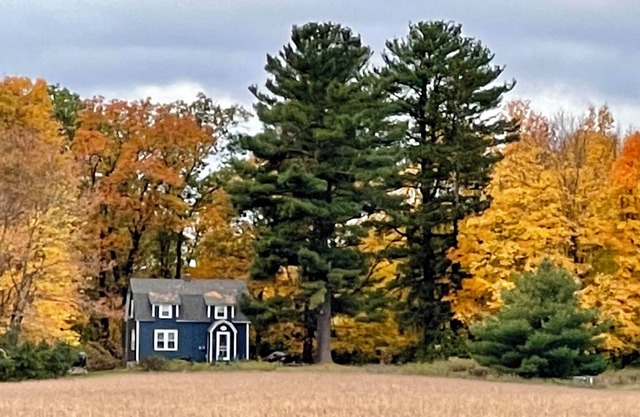 Cottage- Shell Lake on Little Long Lake