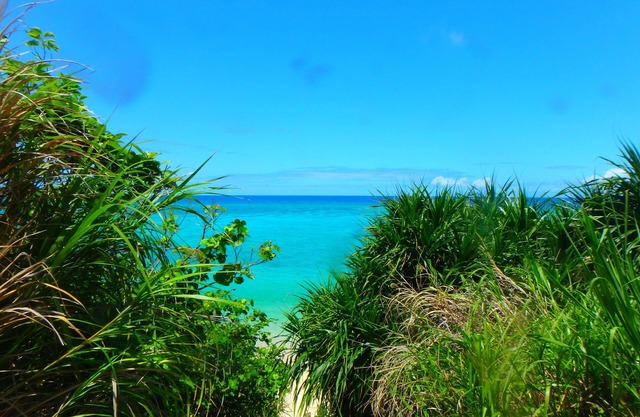 Cottage, wi-fi available, BBQ terrace available, 2 parking lots, 5 min walk to the beach, convenience store walking distance, bathtub available