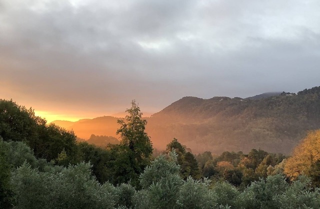 Cottage with panoramic terrace on the hills of Lucca