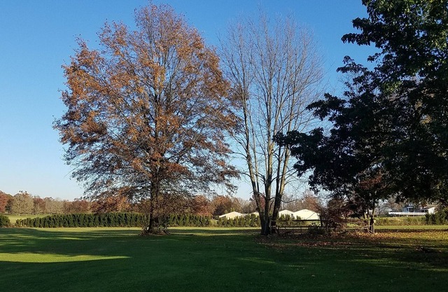 Country Charm Home on Golf Course in Historic Saxonburg, PA